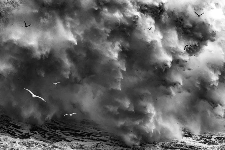 Birds In The Storm (part 2) Photograph by Paolo Lazzarotti