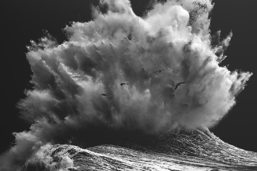 Birds In The Storm (part 6) Photograph by Paolo Lazzarotti