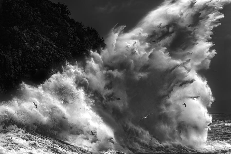 Birds In The Storm (part 7) Photograph by Paolo Lazzarotti