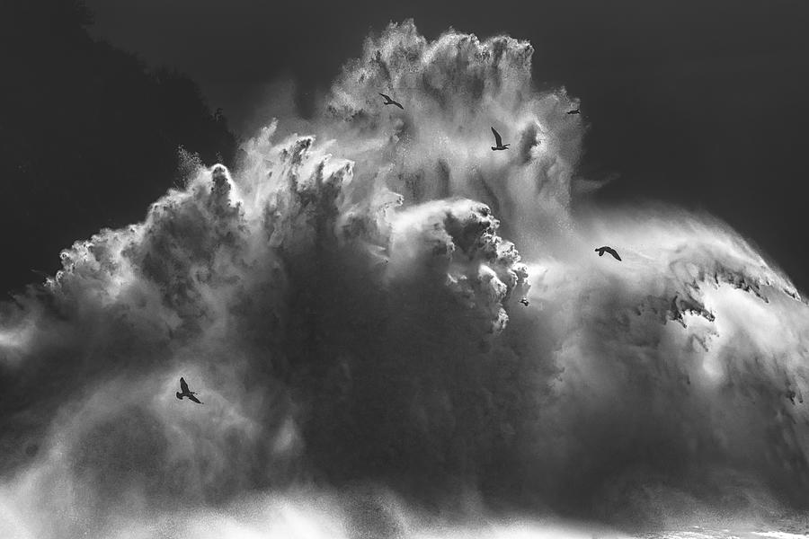 Birds In The Storm (part 9) Photograph by Paolo Lazzarotti