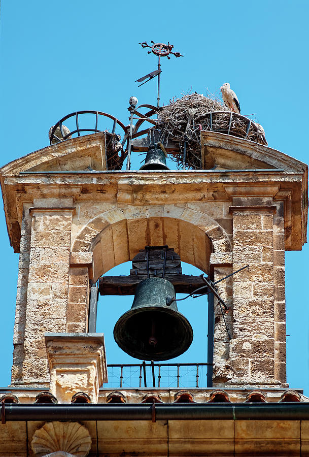 Birds Nest in Bell Tower Photograph by Sally Weigand