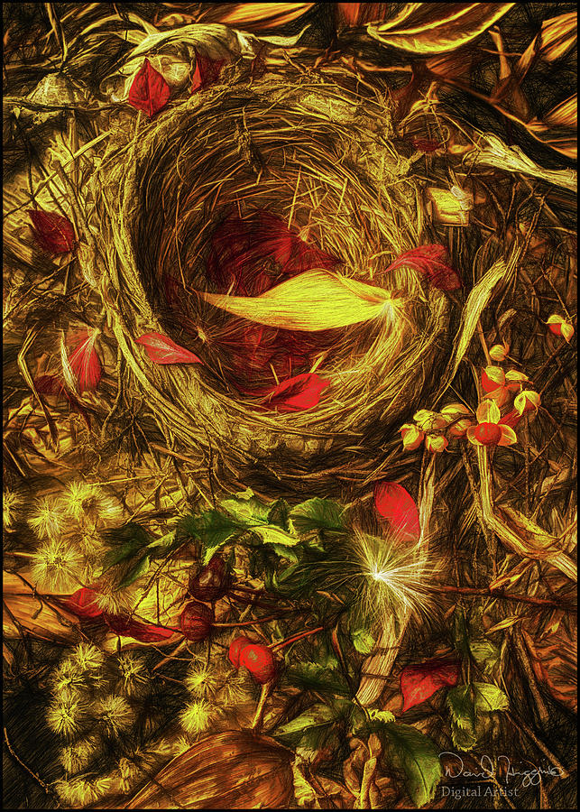 Birds Nest Still Life Digital Art by Dave Higgins