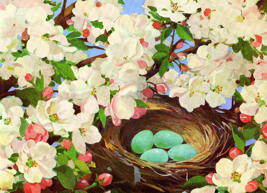 Nature Drawing - Birds Nest with Eggs in a Flowering Tree by CSA Images