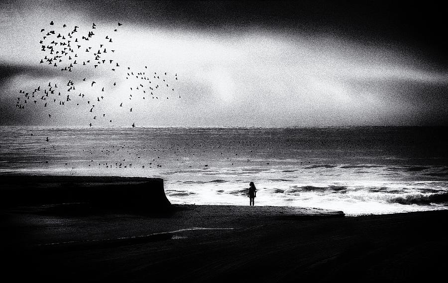Birds On The Beach Photograph by Roxana Labagnara