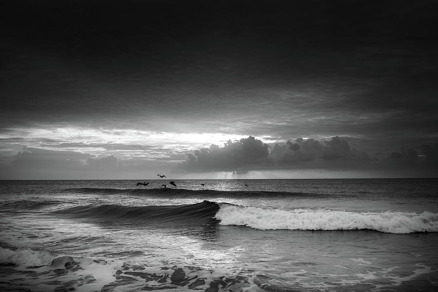 Birds Over Waves In Black and White Photograph by Greg and Chrystal Mimbs
