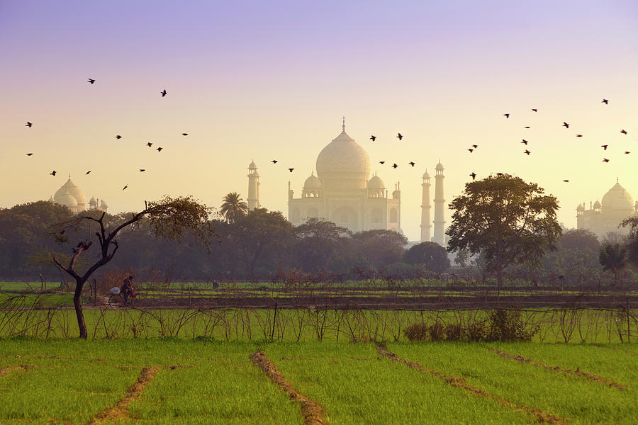 Birds Take Flight Near Taj Mahal Photograph by Adrian Pope Birds Take Flight Near Taj Mahal Photograph by Adrian Pope