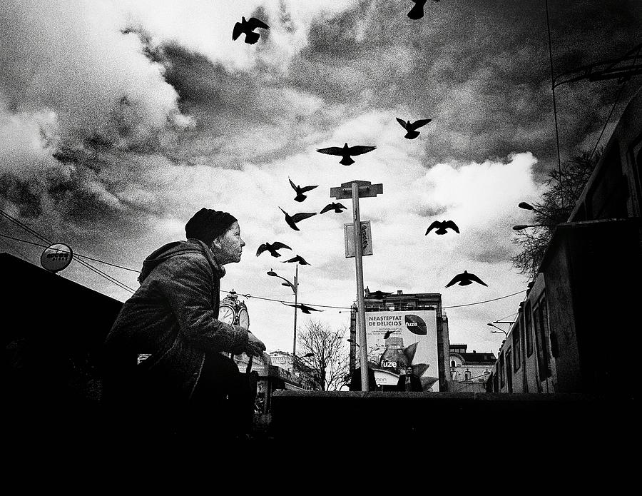 Birds Whisperer Photograph by Mirela Momanu - Fine Art America