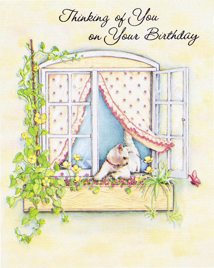 Birthday Cat in Window Photograph by Marilyn Hunt