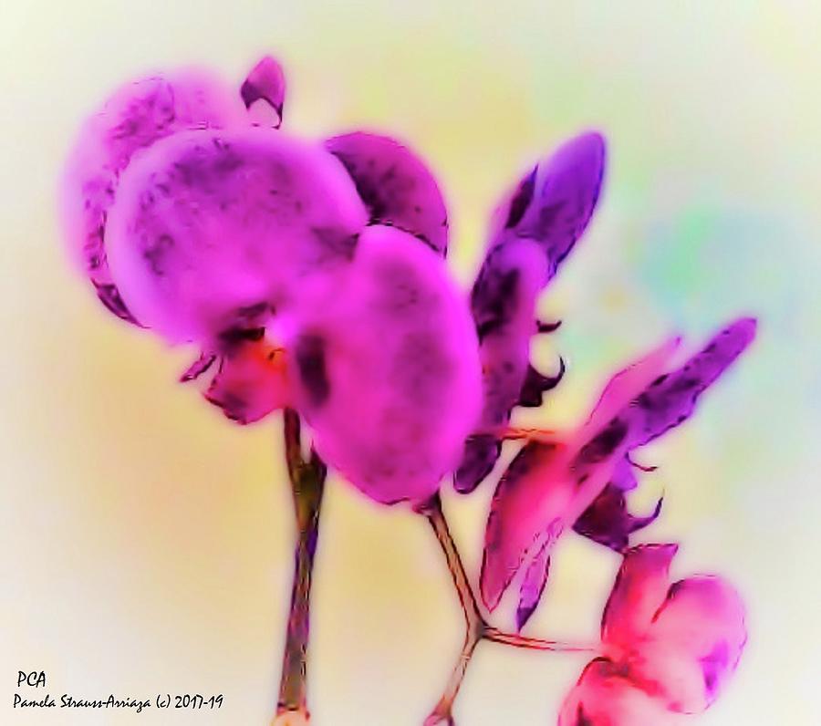 Birthday Orchid Digital Art by Pamela Strauss-Arriaza