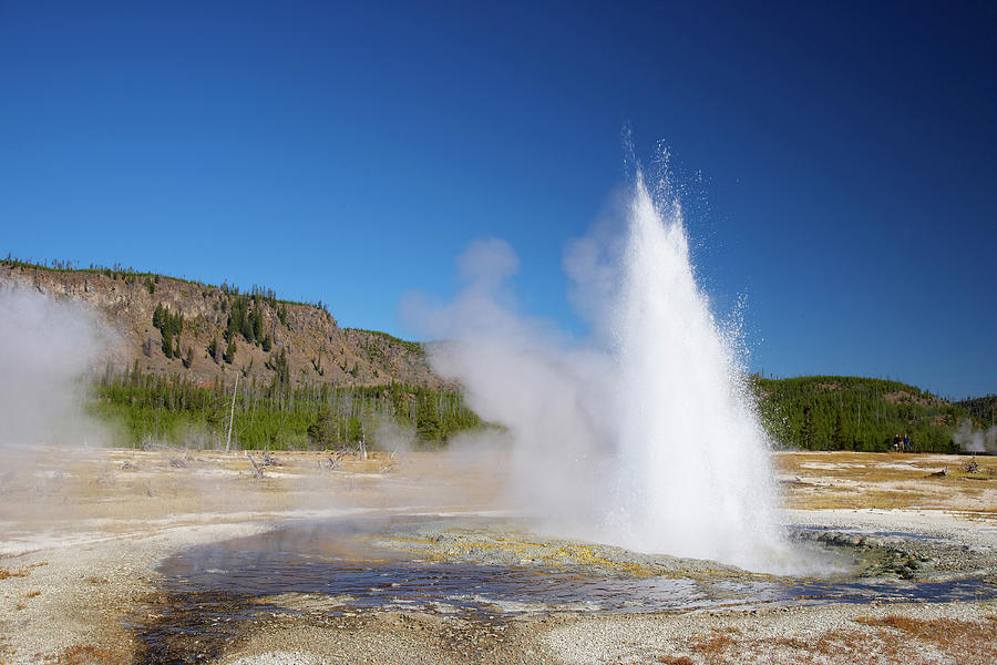 Biscuit Basin , Jewel Geyser , Super Volcano , Yellowstone National ...