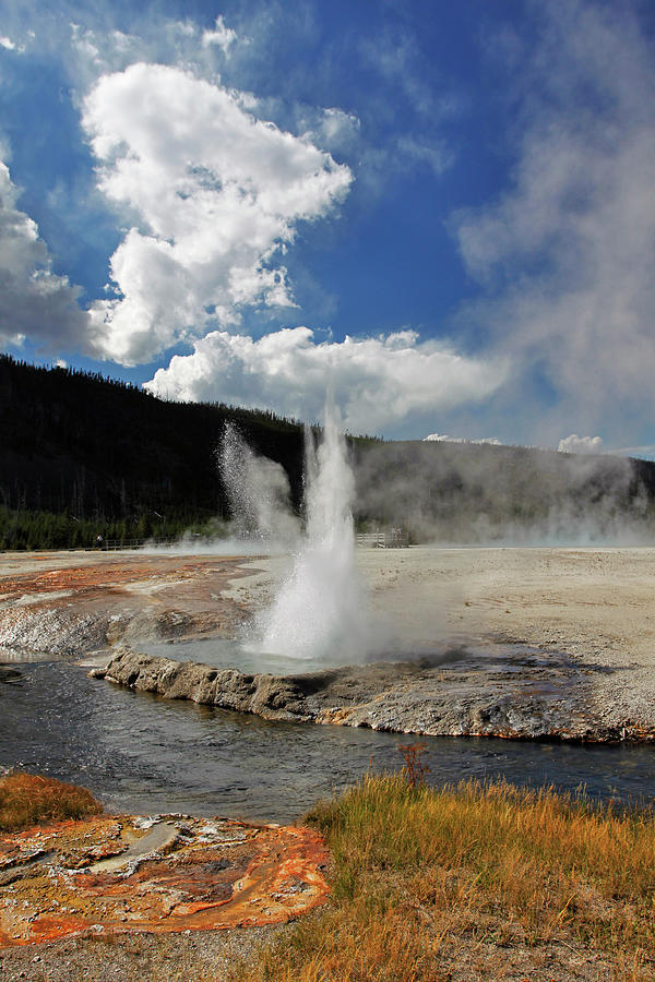 Biscuit Basin, Yellowstone Np Photograph by Yi Jiang Photography