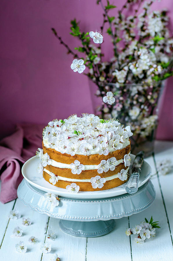 Biscuit Cake With Butter Cream, Decorated With Apricot Flowers. Against The Background With Apricot Flowers Photograph by Gorobina