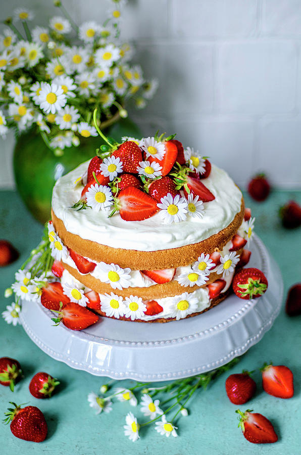 Biscuit Cake With Cream And Strawberries, Decorated With Daisies On A Gray Stand Photograph by Gorobina