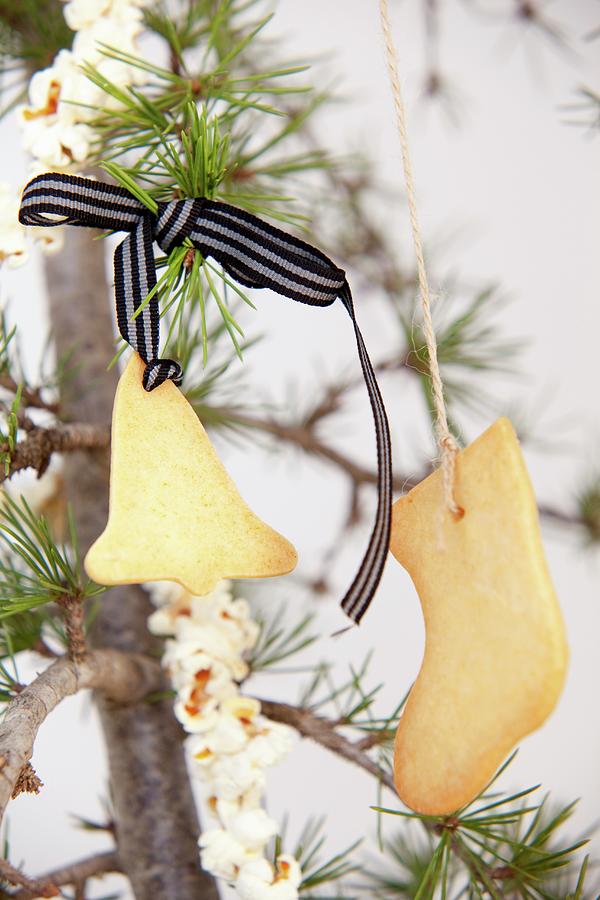 Biscuits Hanging From Ribbons And Cords And Popcorn Garland On Fir Branches Photograph by Great Stock!