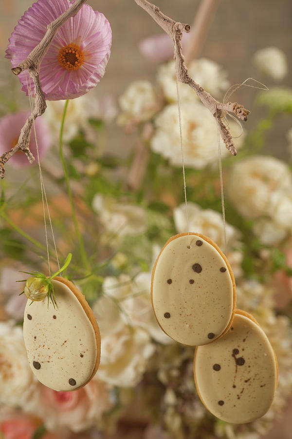 Biscuits Iced To Look Like Quails Eggs Hanging From Branch Photograph by Great Stock!