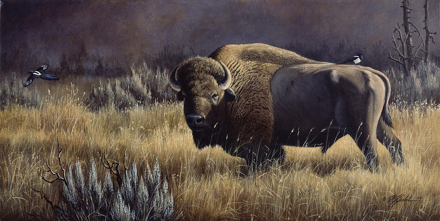 Animal Painting - Bison And Magpies by Wilhelm Goebel