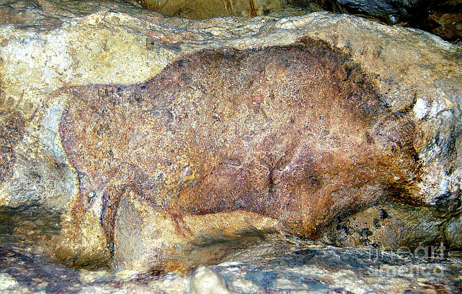 Prehistoric Painting - Bison In Font De Gaume, C.25,000 B.c. by Prehistoric