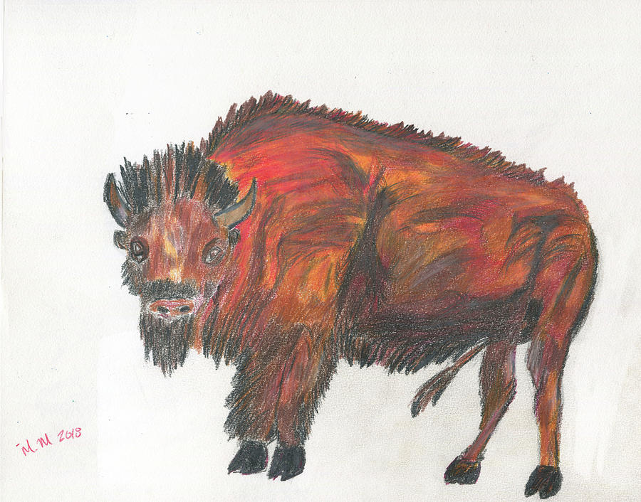 Yellowstone National Park Drawing - Bison of the Plains  by Merrill Mitchell