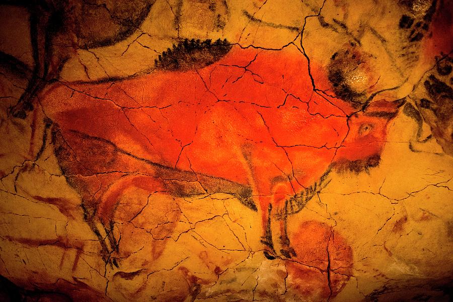 Up Movie Painting - Bison Painting In Altamira Caves by Unknown