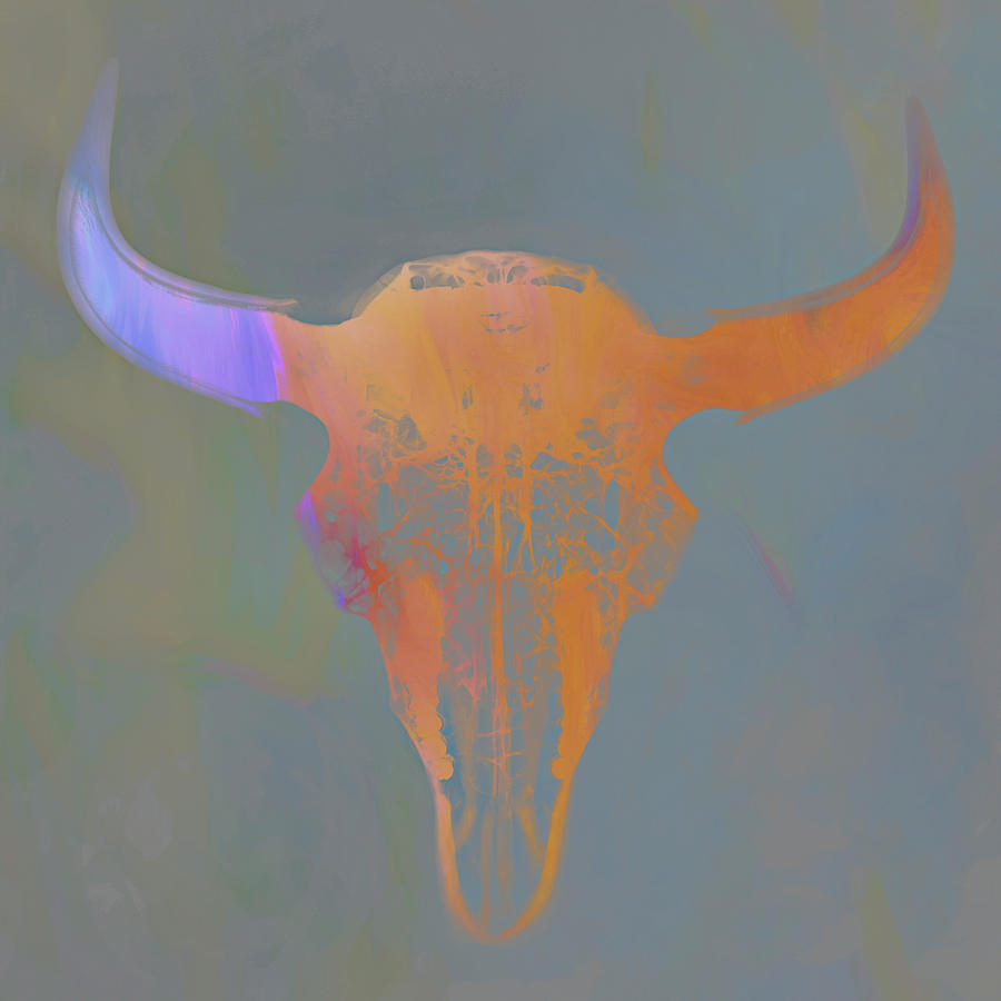 Bison skull x-ray art 01 Photograph by Rob Graham