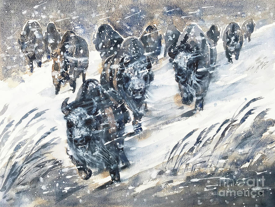 Bisons in Snowstorm  Painting by Zaira Dzhaubaeva