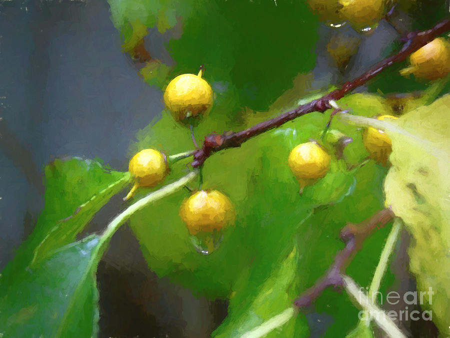 Bittersweet Berries In The Rain Mixed Media by Susan Lafleur