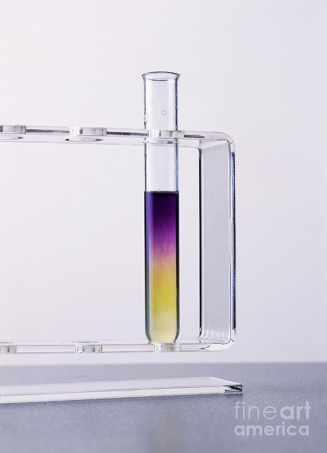 Biuret Test Photograph - Biuret Test by Martyn F. Chillmaid/science Photo Library