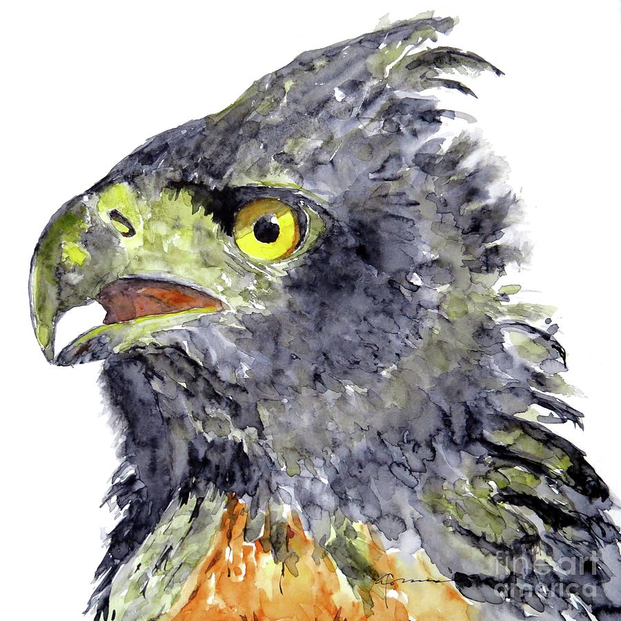 Black and Chestnut Eagle Painting by Claudia Hafner
