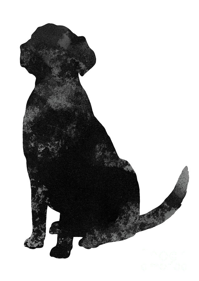 Dog Painting - Black and grey silhouette of a sitting Labrador by Joanna Szmerdt