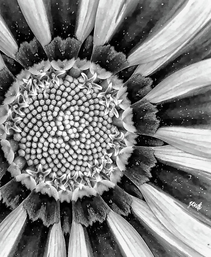 Black and White 1 by Cindy Greenstein Black and White 1 by Cindy Greenstein