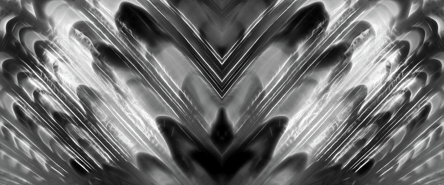 Black and White Abstract Shell Panoramic Photograph by Gill Billington
