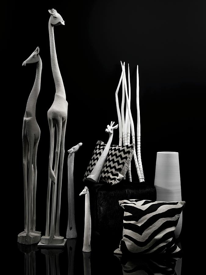 Black And White - African Animal Figures And Decorative Objects Photograph by Biglife