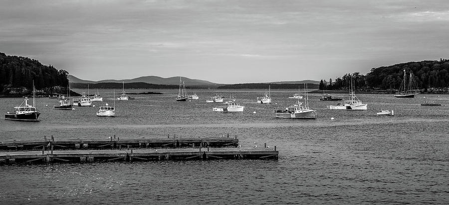 Black And White Bar Harbor Boats by Dan Sproul Black And White Bar Harbor Boats by Dan Sproul