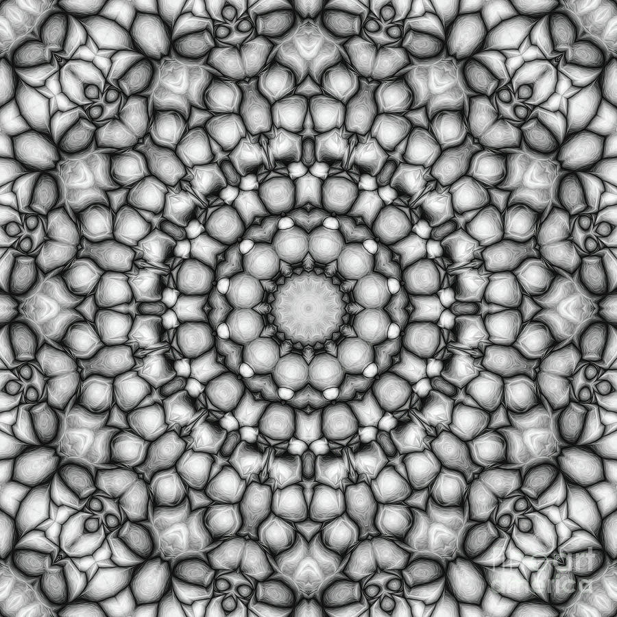 Black And White Circular Pattern Digital Art by Phil Perkins