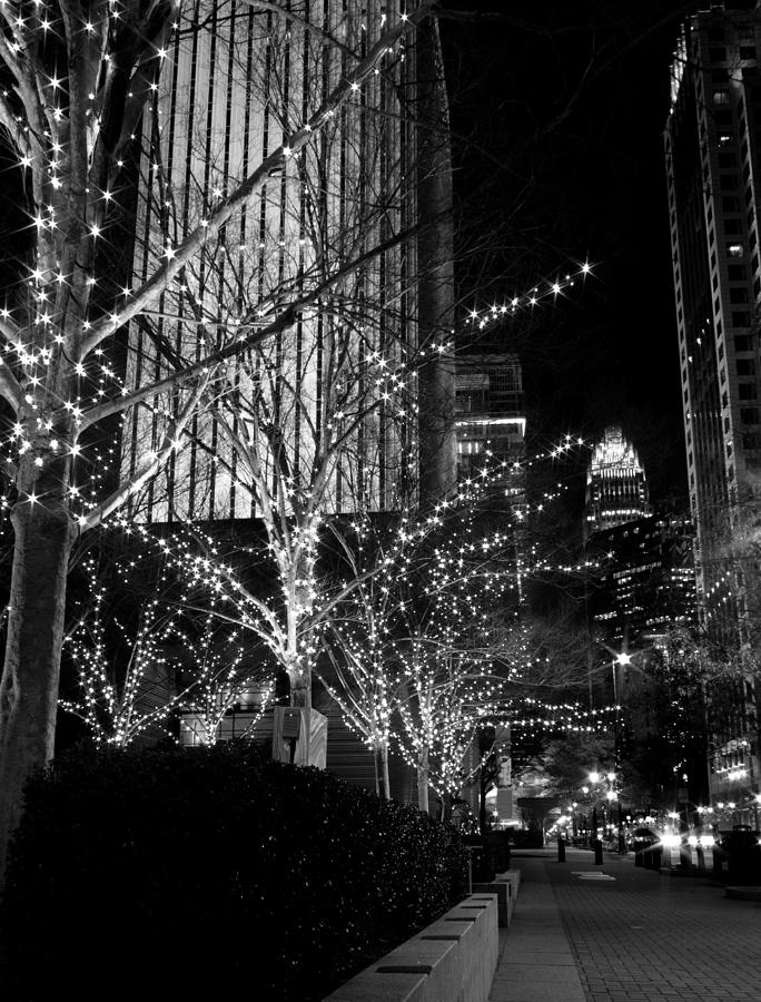 City Photograph - Black and White City Holiday Lights by Christine Buckley
