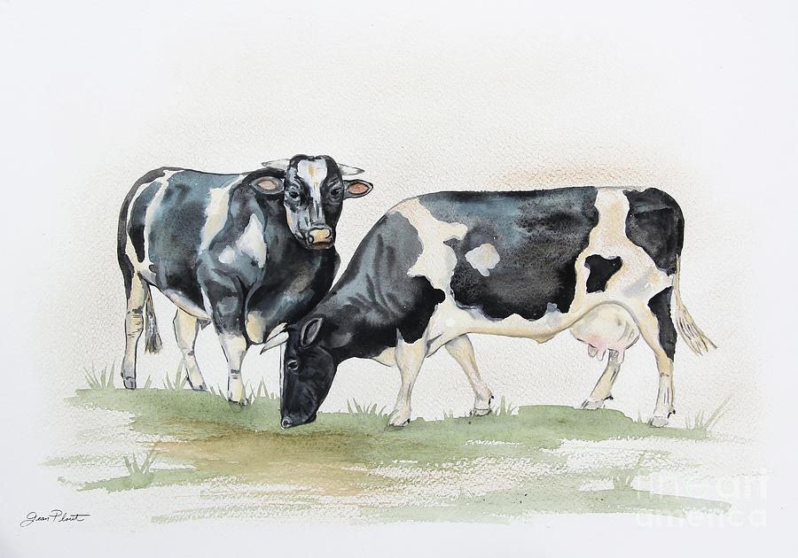 Black And White Cows In Watercolor Painting by Jean Plout