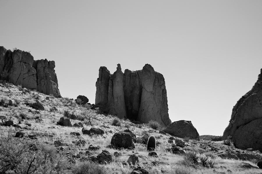Desert Photograph - Black And White Desert Scene by Sara Slaughter