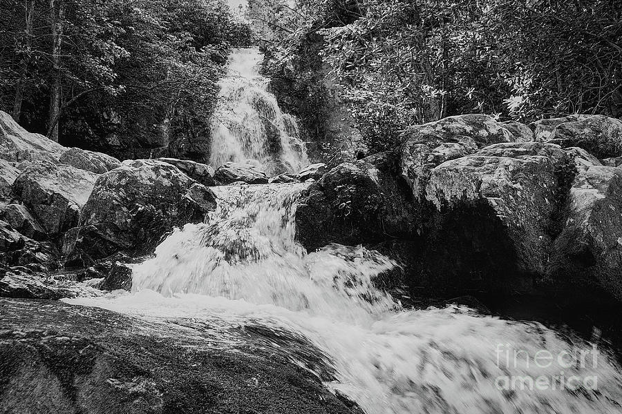 Black And White Falls Photograph by Phil Perkins
