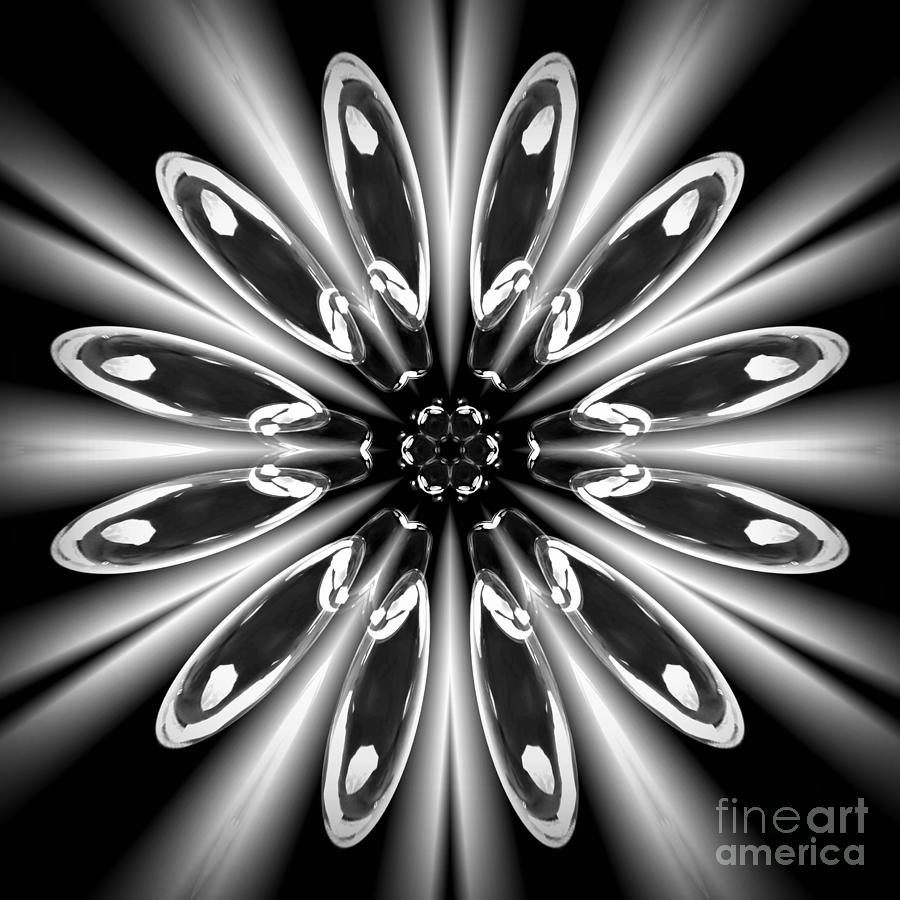 Black And White Flower Mandala Digital Art
