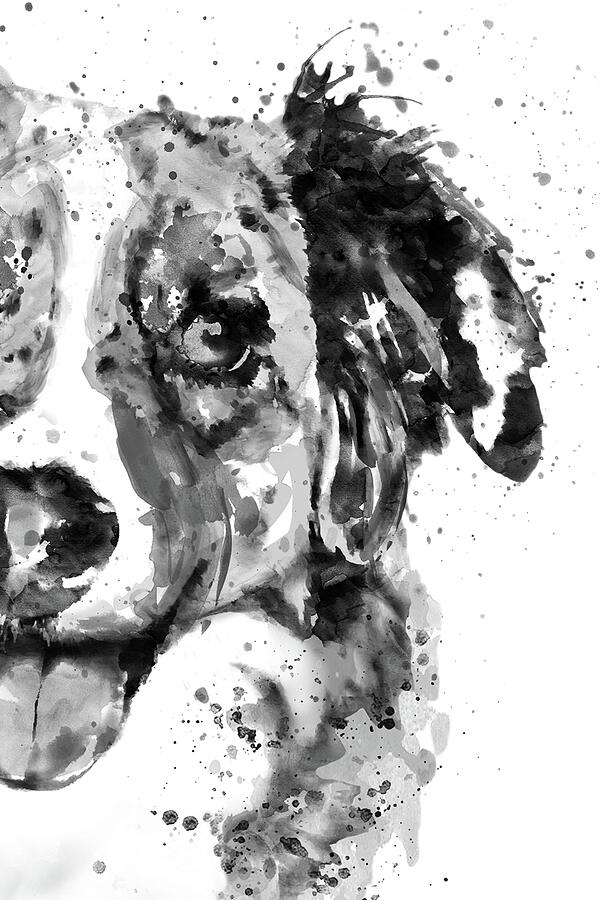 Black and White Half Faced Border Collie Painting by Marian Voicu