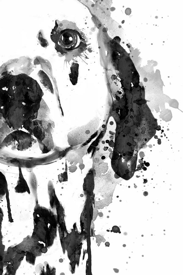 Black And White Half Faced Dalmatian Dog Painting by Marian Voicu