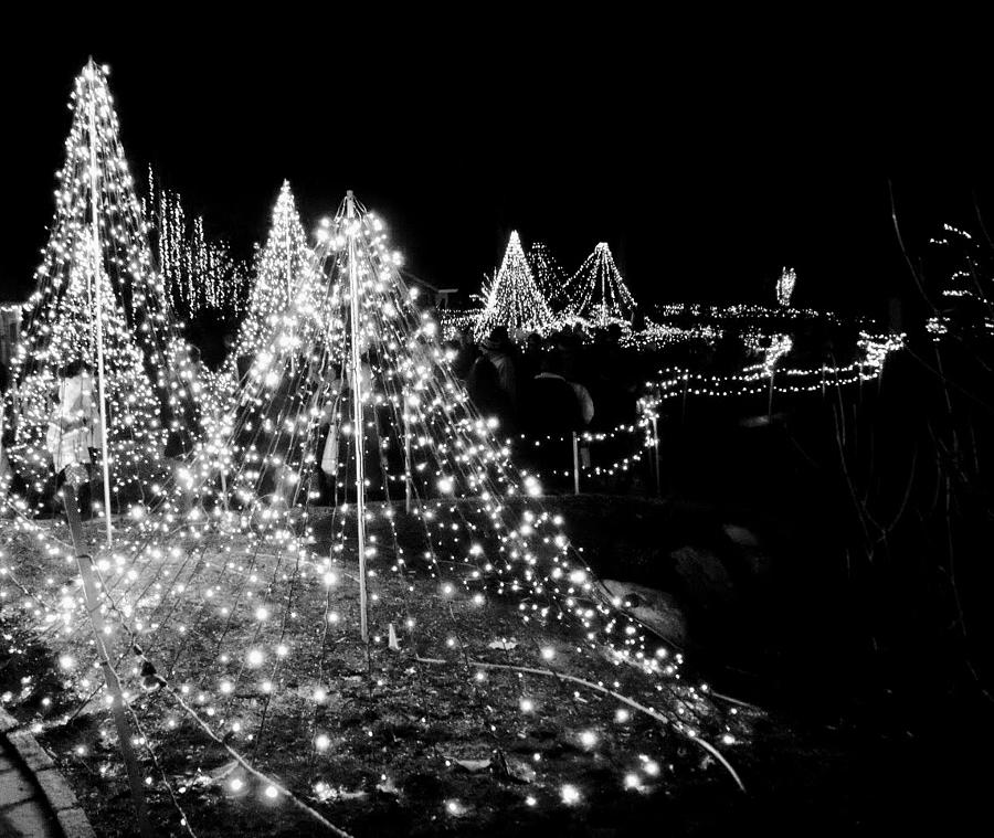 Black And White Photograph - Black and White Holidays by Susan Allen