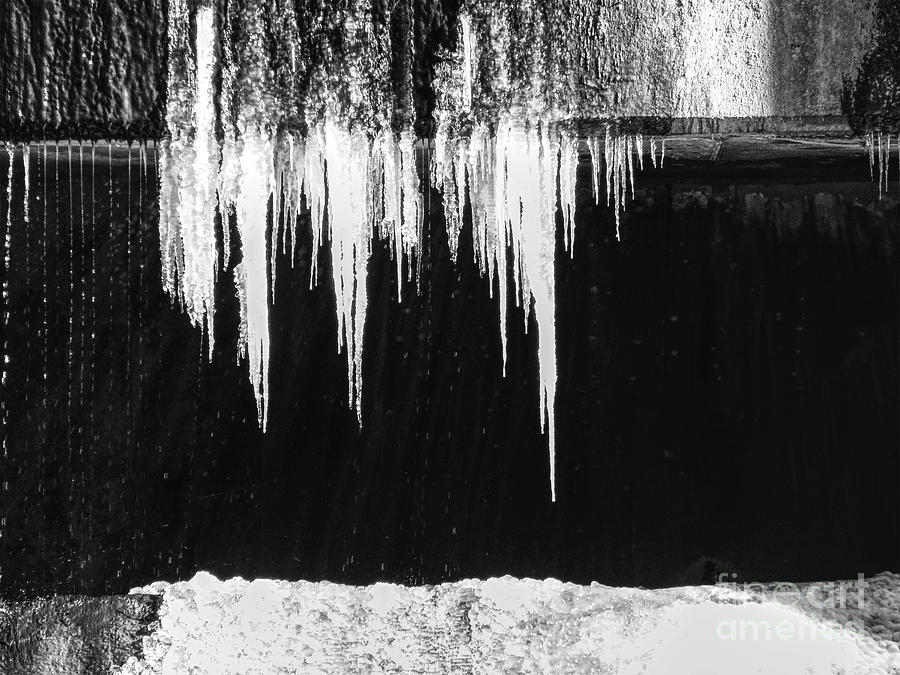 Black And White Icicles Photograph by Phil Perkins