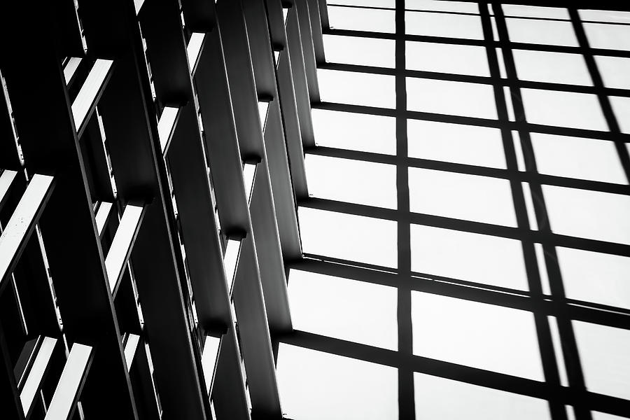 Black And White Lines - Indoor Photograph