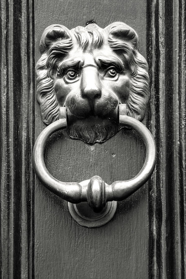 Black and White Lion Knocker Photograph by Don Johnson