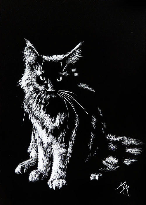 Black and White by Monique Morin Matson Black and White by Monique Morin Matson