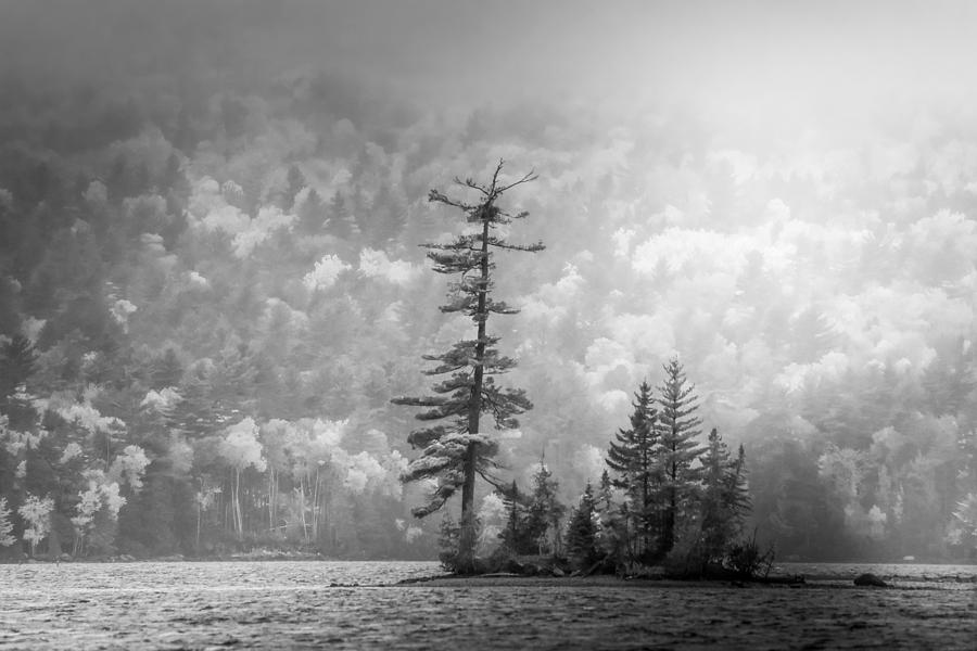 Black And White Moody Morning Moosehead Lake by Dan Sproul Black And White Moody Morning Moosehead Lake by Dan Sproul