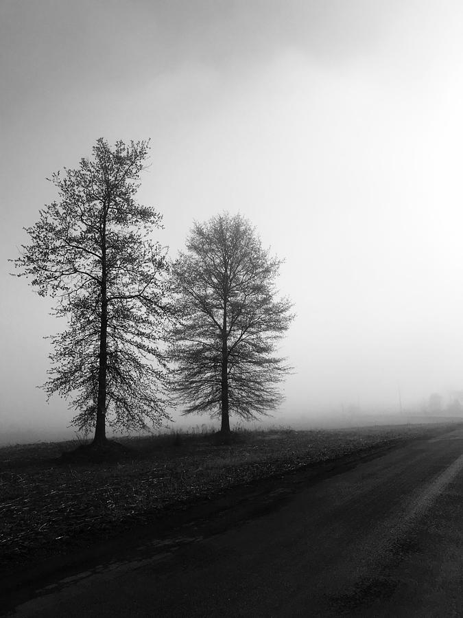 Black and White Morning Photograph by Photos By Amie - Pixels