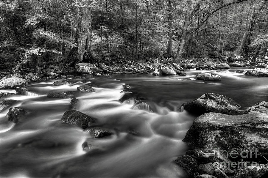 Black And White Mountain River Scene Photograph by Mike Eingle