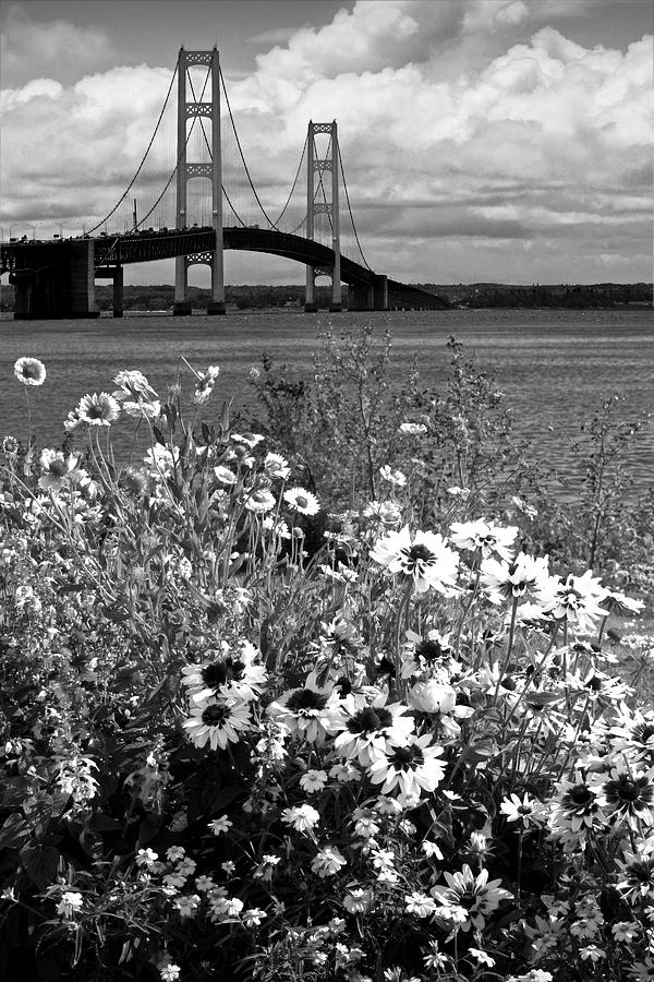Black and White of Blooming Flowers by the Bridge at the Straits Photograph by Randall Nyhof
